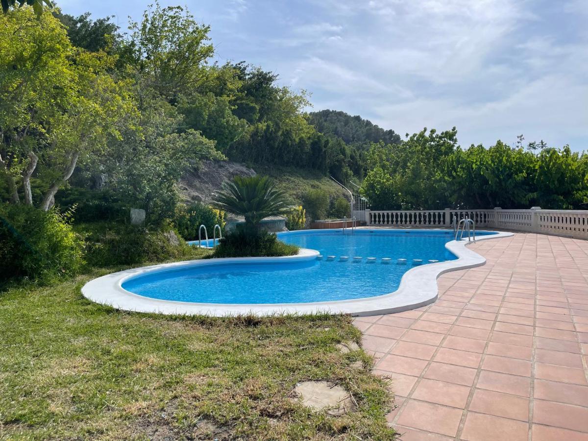 La Casa Azul Hotel Xativa Ngoại thất bức ảnh